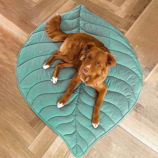 Leaf Dog Blanket®